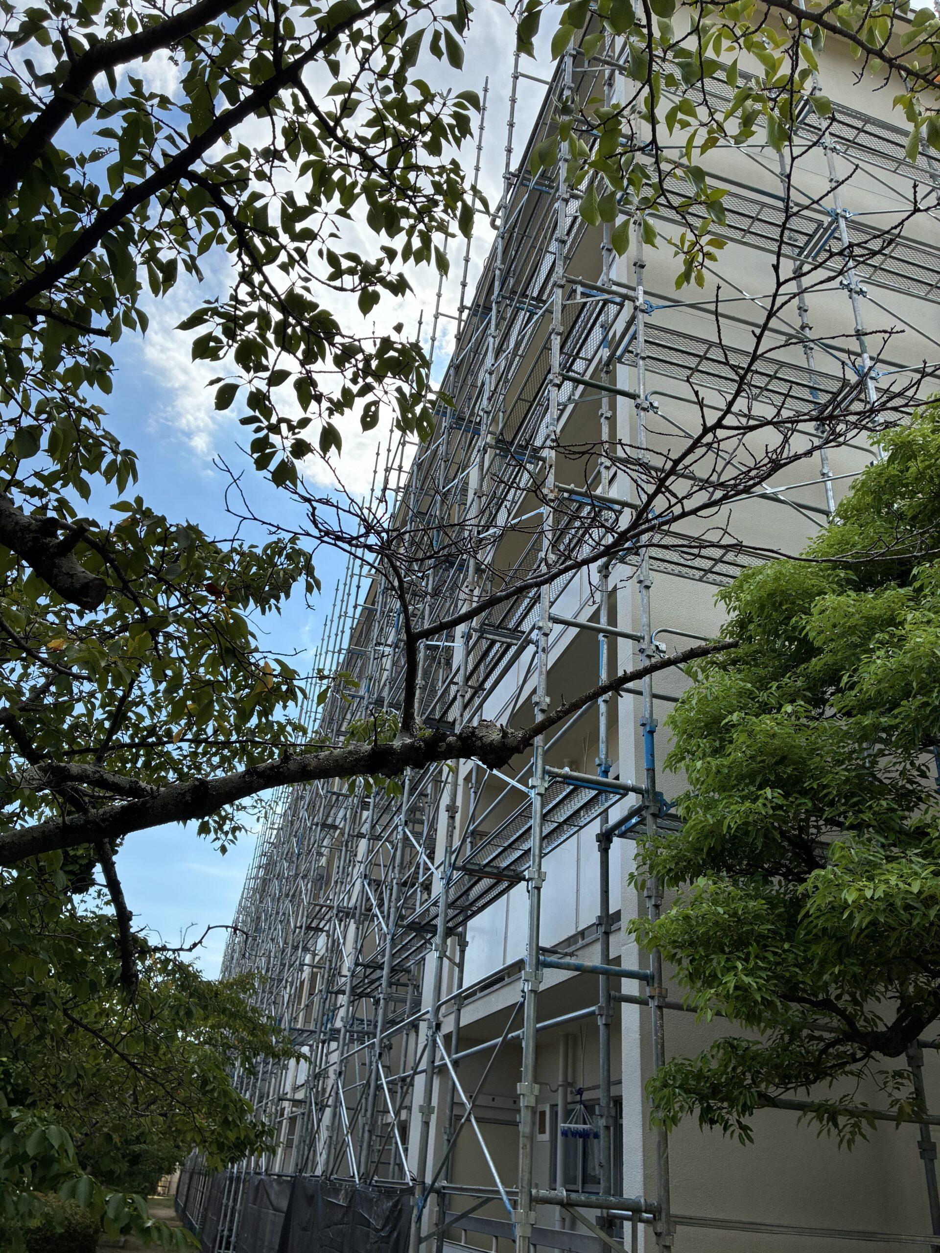 建物の周囲に樹木がある場所へ組まれた外壁工事用の足場